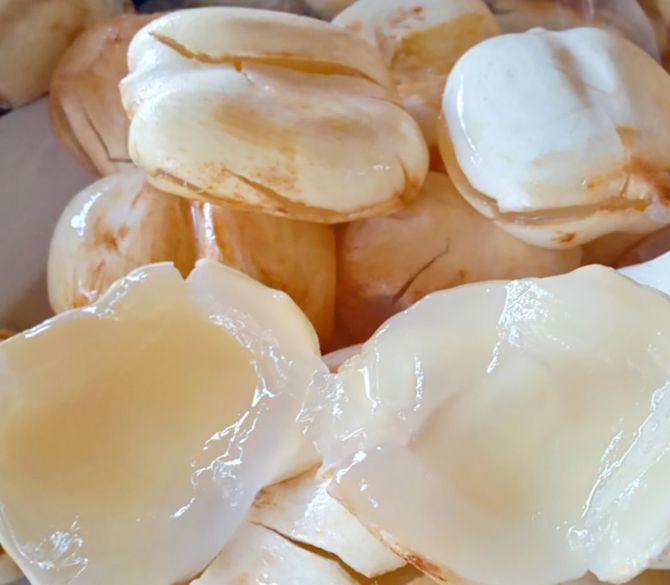 Quả thốt nốt với phần cơm trắng deo.