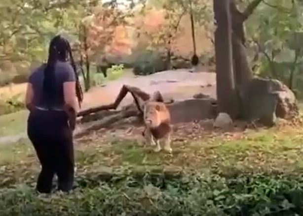 Ảnh cắt từ clip.