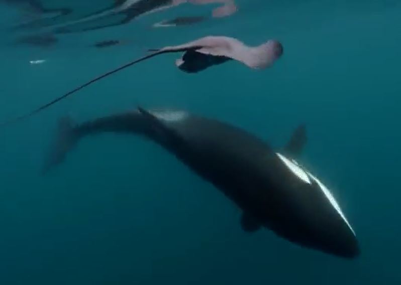 Ảnh cắt từ clip.