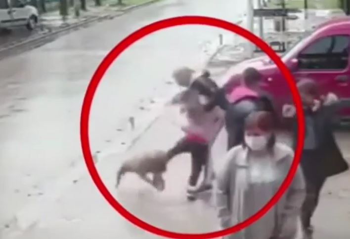 Ảnh cắt từ clip.