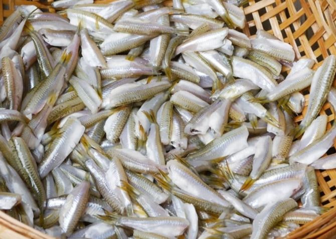 Cà lòng tong - Ăn xong là nhớ. Ảnh: Internet.