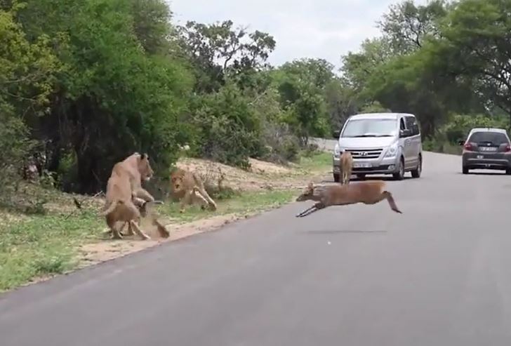 Ảnh cắt từ clip.