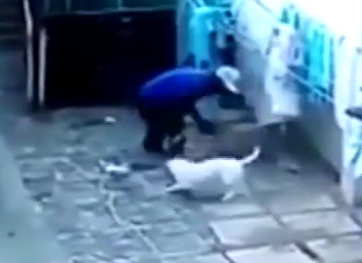 Ảnh cắt từ clip.