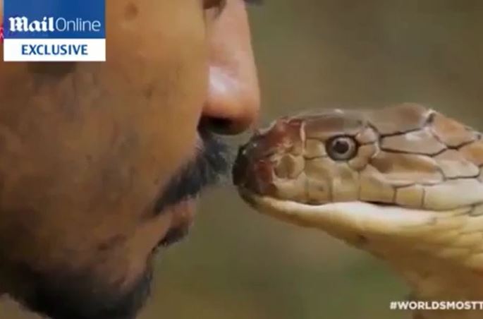 Ảnh cắt từ clip.