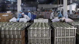 Ngân hàng dự phòng kịch bản ứng phó tác động thuế quan Hoa Kỳ