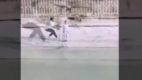 CLIP: Kinh hoàng khoảnh khắc đại bàng lao xuống, suýt “bắt” bé gái