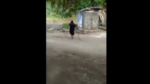 CLIP: Cụ bà Ấn Độ tay không kéo lê rắn hổ mang, bình thản quẳng đi