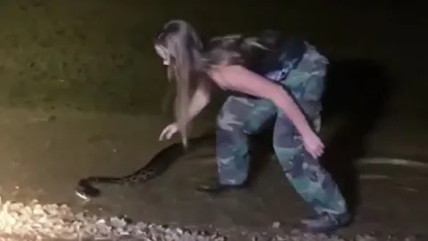 CLIP: Thiếu nữ xinh đẹp dùng tay không bắt trăn Miến Điện và cái kết gây chú ý