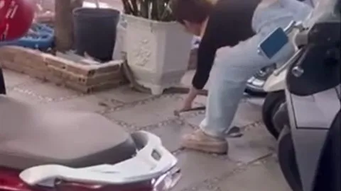 CLIP: Cô gái tay không bắt rắn 'khủng' ở Hậu Giang và cái kết khiến người xem 'thót tim'