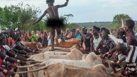CLIP: Bộ tộc với nghi lễ kỳ lạ, muốn lấy vợ đàn ông phải khỏa thân nhảy qua lưng bò