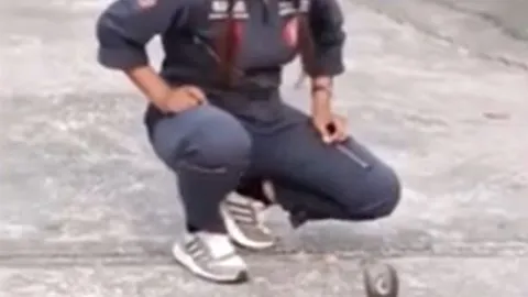 CLIP: Người phụ nữ tay không bắt rắn hổ mang chúa và cái kết 'thót tim'