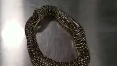 CLIP: 'Ớn lạnh' trước khoảnh khắc rắn tự nuốt chính mình