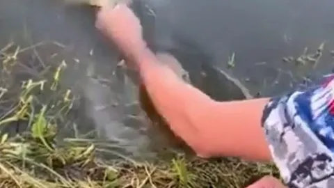 CLIP: Mãn nhãn trước khoảnh khắc người đàn ông dùng tay không câu cá