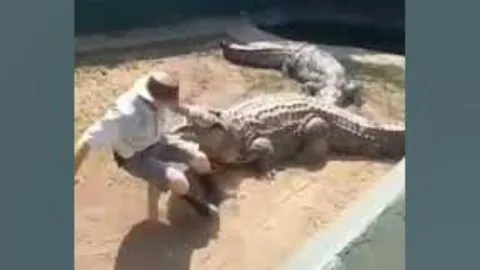 CLIP: Liều lĩnh cưỡi lên lưng cá sấu khổng lồ, người đàn ông suýt bỏ mạng