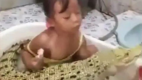 CLIP: Rùng mình trước khoảnh khắc bé gái chà răng cho cá sấu