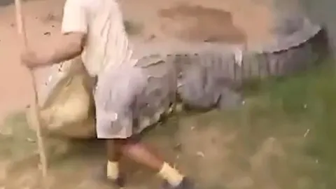 CLIP: Người đàn ông bị cá sấu khổng lồ tấn công và cái kết khó tin