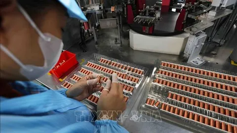 Cơ cấu lại thị trường xuất khẩu, minh bạch chuỗi cung ứng