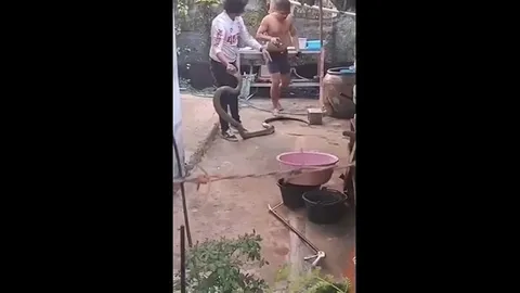 CLIP: Người đàn ông tay không khống chế rắn hổ mang chúa dài 3 mét