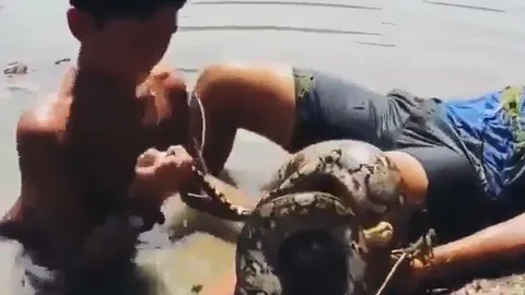 CLIP: Bị trăn 'khủng' siết chặt, 2 cậu bé có màn xử trí đáng nể phục