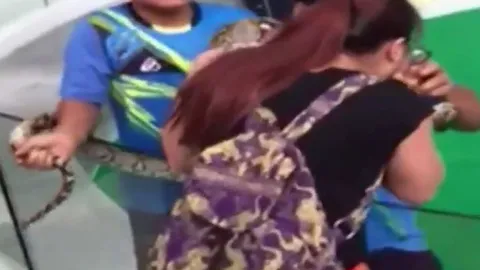 CLIP: Cả gan hôn trăn gấm, người phụ nữ nhận kết quả đầy đau đớn