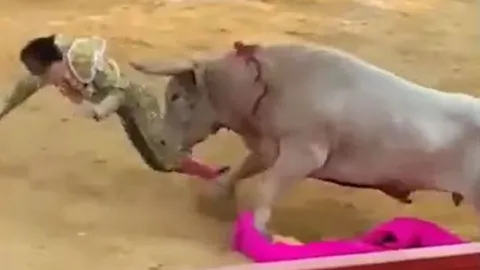 CLIP: Bò tót nổi điên húc tung võ sĩ đấu bò lên không trung và cái kết