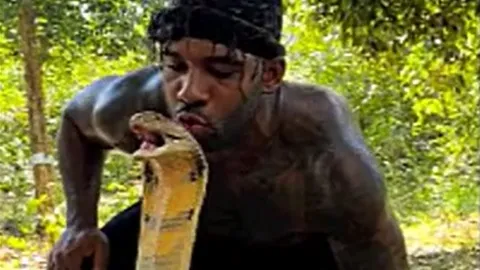 CLIP: Liều lĩnh hôn rắn hổ mang chúa 'khủng', người đàn ông nhận cái kết khó tin