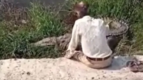 CLIP: Say rượu, người đàn ông ngồi tâm sự với cá sấu nhưng cái kết mới 'thót tim'