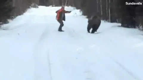 CLIP: Bị gấu 'khủng' tấn công, người đàn ông làm ra hành động khiến con vật sợ hãi bỏ chạy