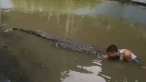 Tưởng cá sấu là mô hình, du khách bị cắn suýt mất mạng khi chụp selfie