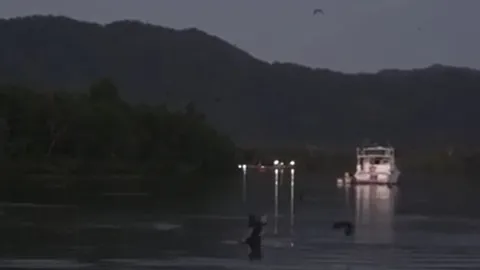 CLIP: Cá sấu phi thân, tóm gọn dơi đang bay trên mặt sông