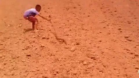 CLIP: Cậu bé 10 tuổi bắt rắn khiến người xem phải trầm trồ