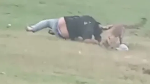 CLIP: Đi dã ngoại, nam thanh niên bị báo hoa mai tấn công và cái kết