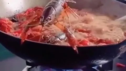 CLIP: Tôm hùm đất tung cú nhảy ngoạn mục, thoát khỏi chảo dầu đang sôi