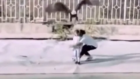 CLIP: Kinh hoàng khoảnh khắc đại bàng sà xuống bắt trẻ em và màn giải cứu đầy kịch tính