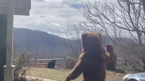 CLIP: Người đàn ông đóng giả gấu để dọa gấu đen rồi nhận lại cái kết không ai ngờ tới