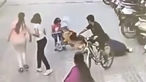 CLIP: Đang đạp xe ở sân chung cư, bé gái 6 tuổi bị chó becgie tấn công và màn giải cứu gay cấn
