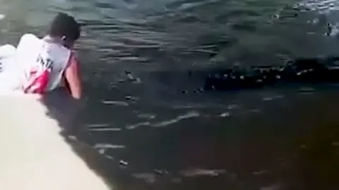 CLIP: Liều lĩnh chụp ảnh với cá sấu, nam du khách bị tấn công và phải khâu hơn 50 mũi