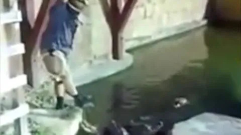 CLIP: Đang đu bị đứt dây thừng, người đàn ông rơi xuống hồ đầy cá sấu và cái kết 'thót tim'