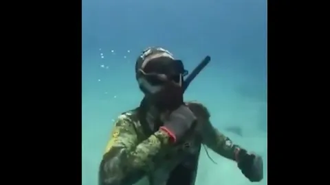 CLIP: Thót tim khoảnh khắc thợ lặn bị bạch tuộc khổng lồ siết cổ dưới đáy biển