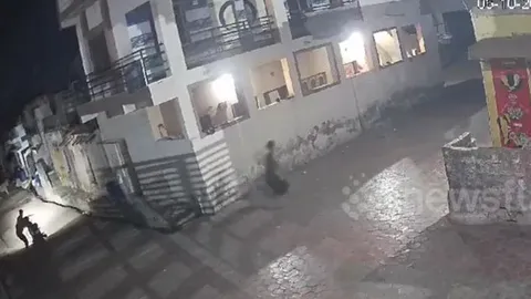 CLIP: Chạm trán sư tử trên đường, 2 người đàn ông vứt xe bỏ chạy