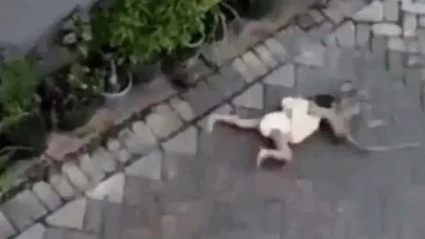 CLIP: Đang đi xe đạp, khỉ vội vàng phóng xuống rồi kéo lê bé gái trên đường