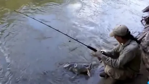 CLIP: Cần thủ kéo được cá khổng lồ sau màn giằng co kịch tính trên sông