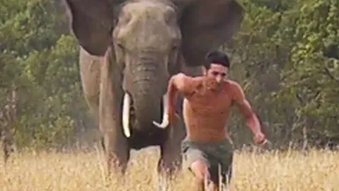 CLIP: Rùng mình cảnh “người liều” chọc giận voi hoang dã, suýt trả giá đắt