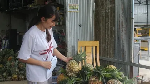 Dứa mật Đam Rông: Khẳng định thương hiệu từ hương vị khác biệt