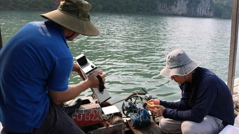 Lần đầu tiên tại Việt Nam: Mô hình AI kết hợp viễn thám giám sát chất lượng nước biển