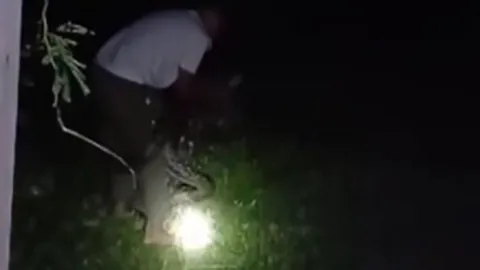 CLIP: Liều lĩnh bắt trăn bằng tay không, người đàn ông Đông Nam Á nhận cái kết bi thảm