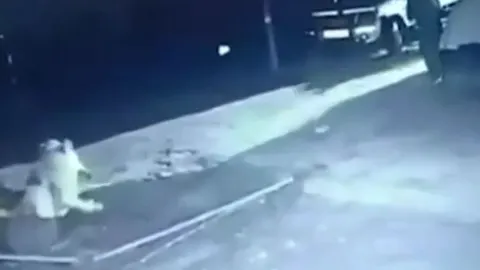 CLIP: Thấy sư tử tấn công bò nhà, người đàn ông liều mình ra xua đuổi kẻ đi săn và cái kết 'thót tim