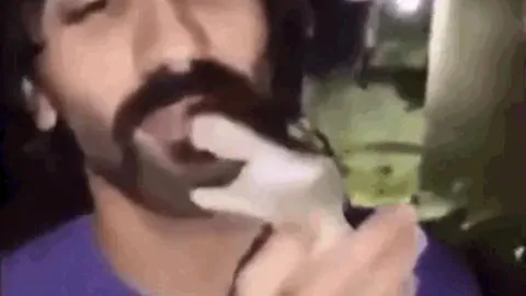 CLIP: Liều lĩnh hôn cá sấu, nam thanh niên lãnh hậu quả ngay tức khắc