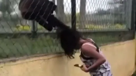 Trêu chọc khỉ trong vườn thú, cô gái nhận bài học nhớ đời