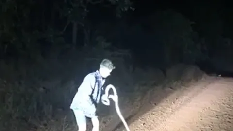 Dùng tay không bắt rắn giữa đường, nam thanh niên phải ‘trả giá đắt’ chỉ sau vài giây